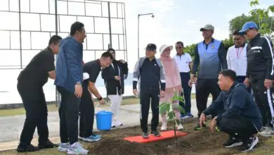 Pj Gubernur Sulbar Bahtiar Dampingi Wapres Tanam Pohon Sukun di Mamuju