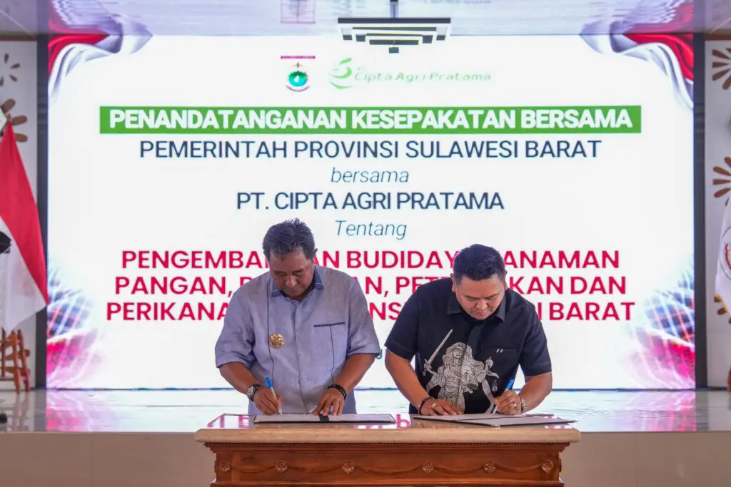 Pemprov Sulbar-PT Cipta Agri Pratama Kerja Sama Tanam 2 Juta Pisang Cavendish