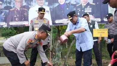 Antisipasi Krisis Pangan, Pj Gubernur dan Kapolda Sulbar Kompak Tanam Sukun di Majene
