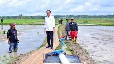 Jokowi Tinjau Pelaksanaan Bantuan Pompa, Petani Sulsel Semringah