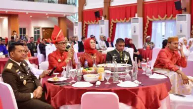 Zudan Ikuti Peringatan HUT ke-79 RI di IKN Secara Virtual