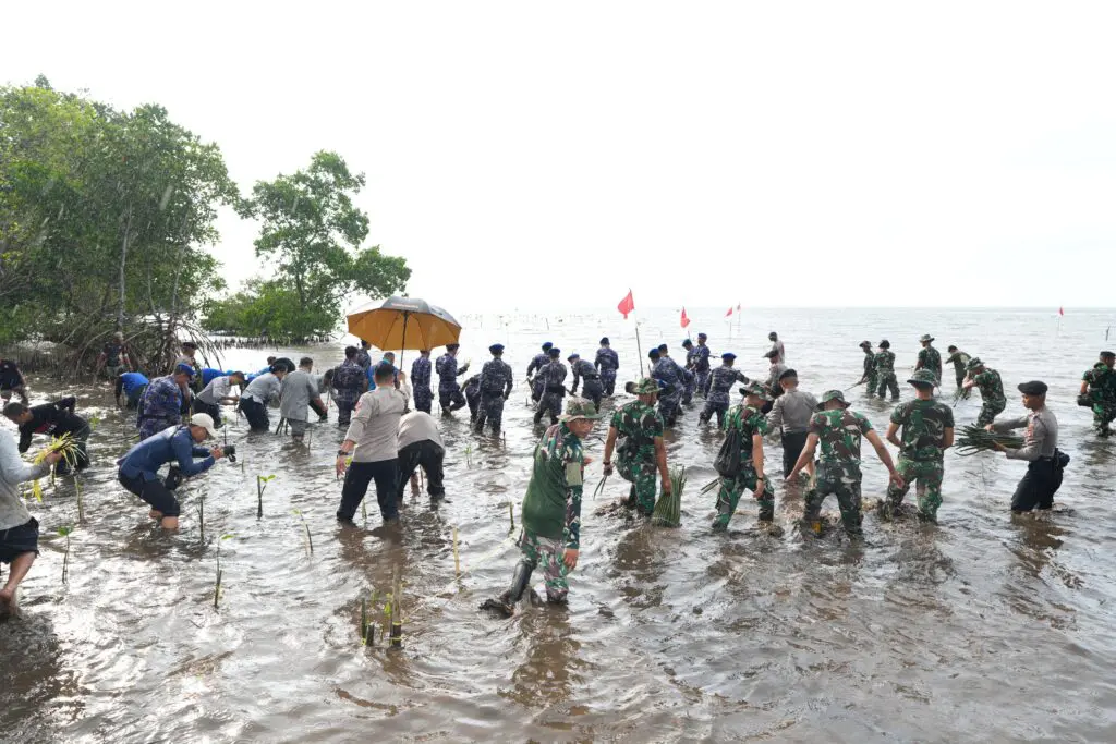 Merdeka dari Pemanasan Global, Pj Gubernur Sulbar Tanam 20.000 Mangrove