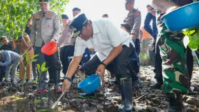 Bahtiar Baharuddin, “Dulu Gubernur Pisang, Kini Gubernur Kepiting”