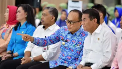 Dukungan Mentan Bantu Wujudkan Sulsel Jadi Pemasok Utama Kebutuhan Pangan IKN