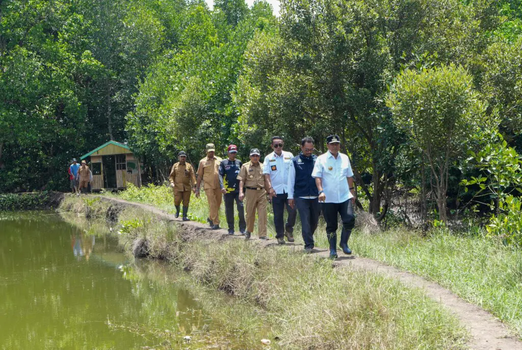 Sulbar Canangkan Aksi Sepekan Menanam Mangrove