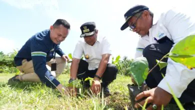 Mimpi “Gubernur Sukun” Jadikan Sulbar Penghasil Sukun Terbesar Sejagad