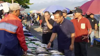 Sapa Pedagang dan Pembeli Ikan, Andi Sudirman Blusukan di TPU Palopo 
