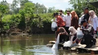 Pemprov Sulsel Telah Salurkan 5 Juta Bibit Bantuan Benih Perikanan