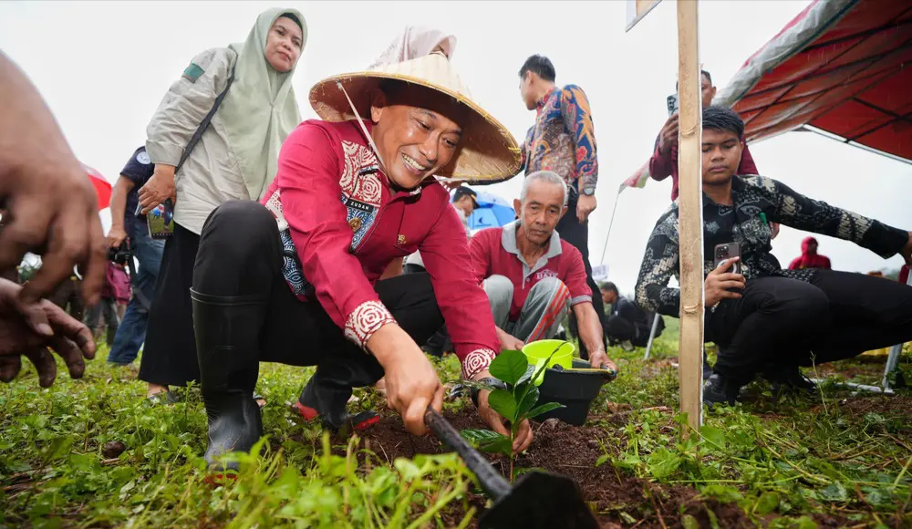 12,5 Juta Lebih Pohon Telah Ditanam Pemprov Sulsel di Hutan Rakyat, Daerah Aliran Sungai dan Kebun Bibit Rakyat