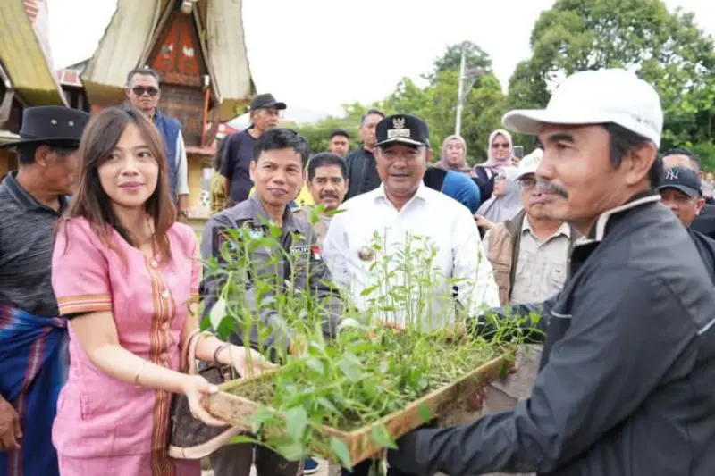 Sulbar Kembangkan Cabai, Kopi, Nangka, dan Sukun Jadi Komoditas Utama