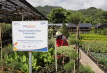 Terbesar di Indonesia, Portofolio Sustainable Finance BRI Tembus Rp796 Triliun