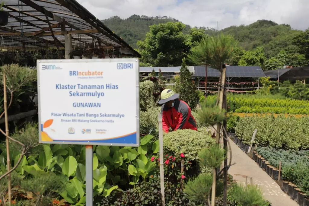 Terbesar di Indonesia, Portofolio Sustainable Finance BRI Tembus Rp796 Triliun